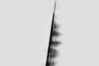 Variationen zum anonymen Bild, punctum partiell entwickelt. Bildbearbeitung: Andrea Grosse-Leege
